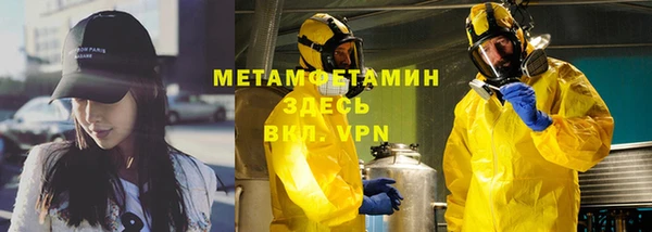 прущие грибы Магадан