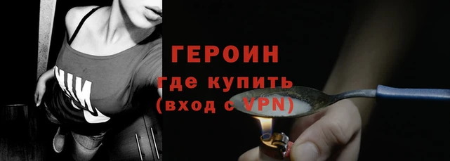 прущие грибы Магадан