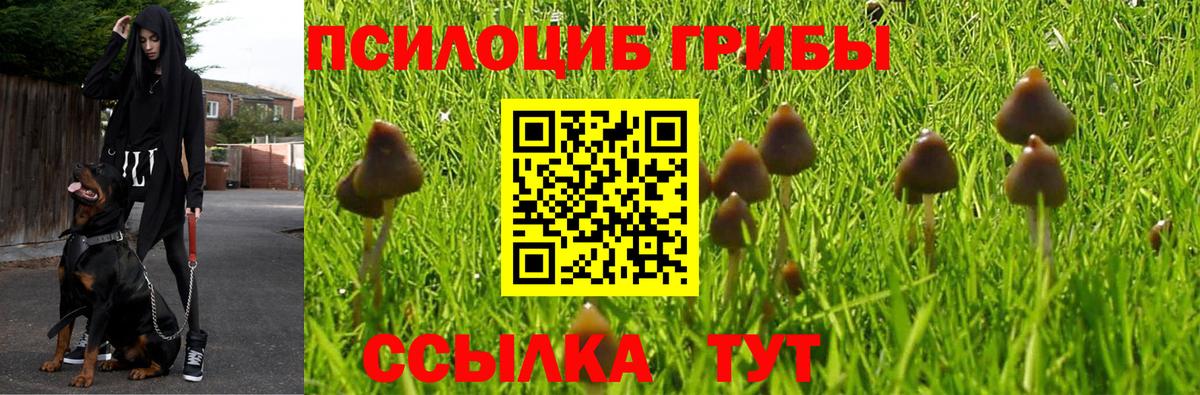 Галлюциногенные грибы мицелий Пенза