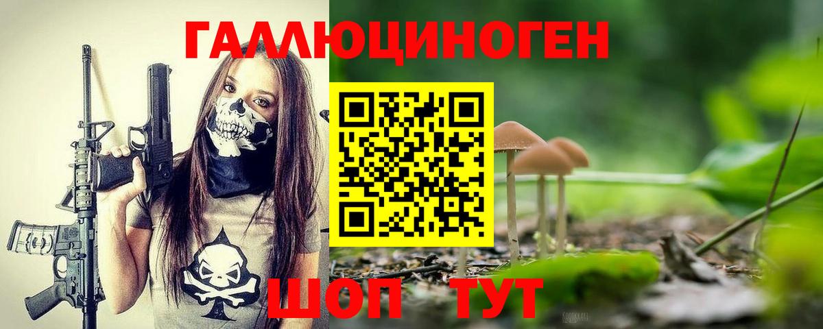 Псилоцибиновые грибы Psilocybe Пенза