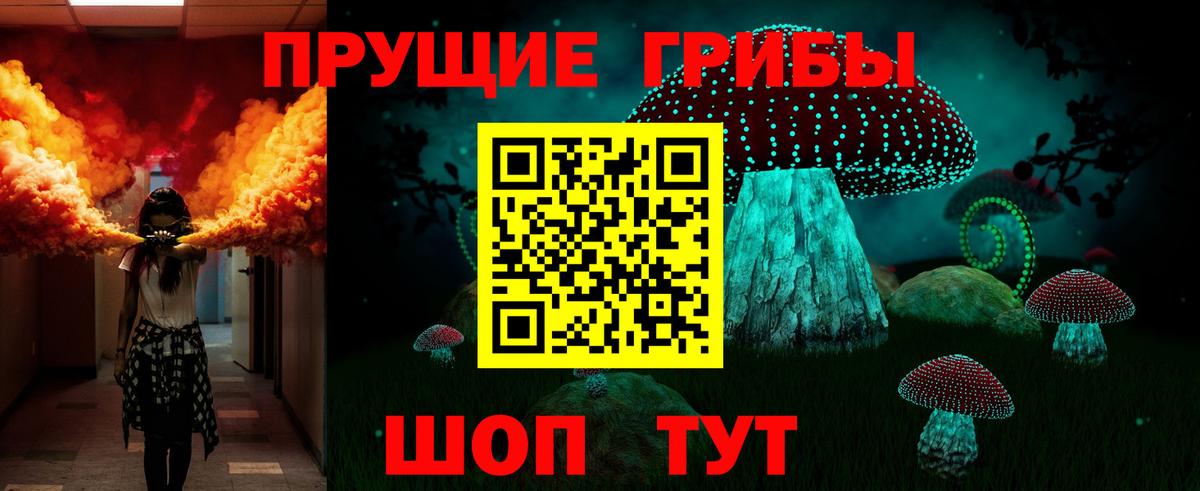 Псилоцибиновые грибы MAGIC MUSHROOMS  Пенза 